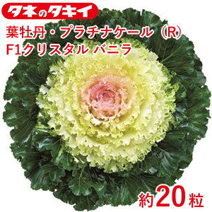 ^LC  tO v`iP[(R)F1NX^ oj  20 Ԓd 牠 n{^ ͂ڂ q q ͔| ʔ