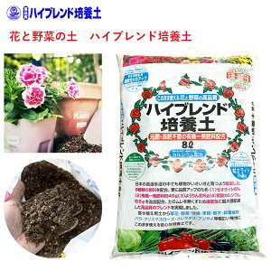 nCuh|{y 8L i |{y 8L | K[fjO  