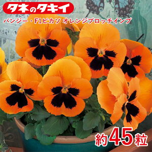 pW[EF1sJ\ IWub`Cv 45  q q  ͔| ʔ ^LC