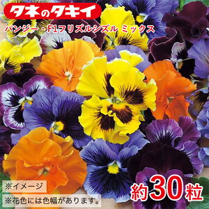 pW[EF1tYVY ~bNX 30  q q  ͔| ʔ ^LC