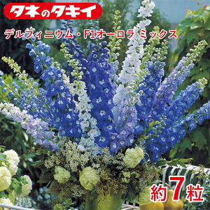 ^LC ftBjEEF1I[ ~bNX 7 ^LCz Ԓd REXibvhS 牠 q q ͔| ʔ