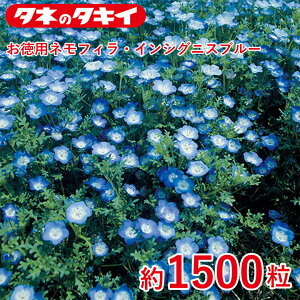 ^LC pltBECVOjXu[ 1500 ^LCz Ԓd ڗ 牠 q q ͔| ʔ