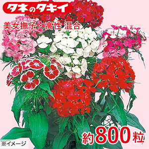 ^LC qE  800 ^LCz Ԓd ڗ 牠 q q ͔| ʔ