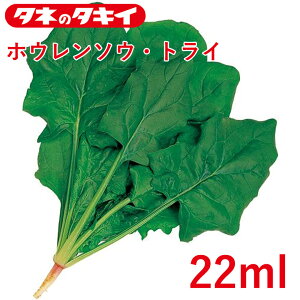 zE\E gC ^LCz 22ml ق񂻂 ق ƒ؉   K[fjO ͔| _ ؍   T_