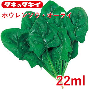 zE\E I[C ^LCz 22ml ق񂻂 ق ƒ؉   ͔| _ ؍   T_