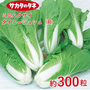 ~jnNTC ^Cj[VViRj300 TJ^z ƒ؉   q K[fjO ͔| _ ؍   T_ ^LC ^LC̃^l ʔ t  H ~