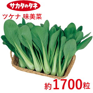 cPi  1700 TJ^z ƒ؉   q K[fjO ͔| _ ؍   T_ ^LC ^LC̃^l ʔ t  H ~