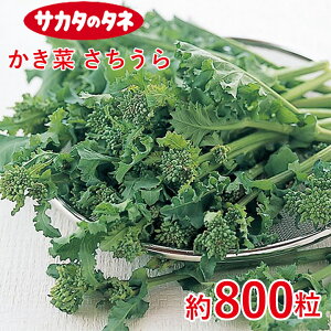   800 TJ^z ƒ؉   q K[fjO ͔| _ ؍   T_ ^LC ^LC̃^l ʔ t  H ~