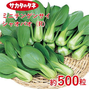 ~j`QTC VIpIiRj500 TJ^z ƒ؉   q K[fjO ͔| _ ؍   T_ ^LC ^LC̃^l ʔ t  H ~