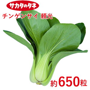 `QTC  650 TJ^z ƒ؉   q K[fjO ͔| _ ؍   T_ ^LC ^LC̃^l ʔ t  H ~