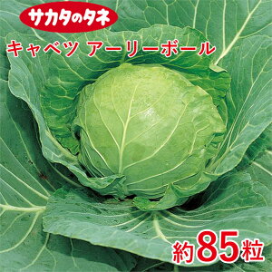 Lxc A[[{[ 85 TJ^z ƒ؉   q K[fjO ͔| _ ؍   T_ ^LC ^LC̃^l ʔ t  H ~
