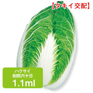 nNTC ϕaZ\ ^LCz 1.1ml ͂  ƒ؉   K[fjO ͔| _ ؍   Е Ђ L`