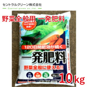 ؑSʗp ꔭ엿 10kg ZgO[ 엿 _ | ؉   K[fjO