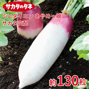 ~j_CR ߂yTJ^zz130 Ԓd 牠 卪 q q  ͔| ʔ TJ^