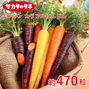 jW Jtɂ񂶂  470  Ԓd 牠 lQ jW q q  ͔| ʔ TJ^