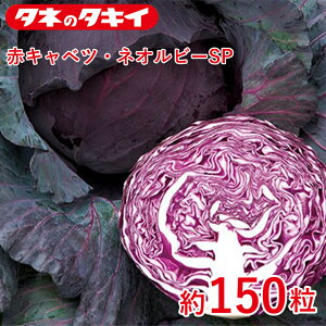 ԃLxcElIr[SPy^LCzz150 × ׂ ƒ؉   q K[fjO ͔| _ ؍   T_ ^LC ^LC̃^l ʔ t  H ~