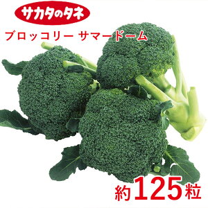 ubR[ T}[h[ TJ^z ybgq125 ƒ؉   q K[fjO ͔| _ ؍   T_ ^LC ^LC̃^l ʔ t  H ~