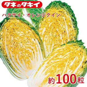 nNTCEIWNCy^LCzzybgq100  nNTC ƒ؉   q K[fjO ͔| _ ؍   T_ ^LC ^LC̃^l ʔ t  H