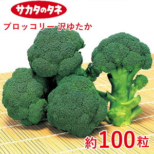 ubR[ 䂽 100 TJ^z ƒ؉   q K[fjO ͔| _ ؍   T_ ^LC ^LC̃^l ʔ t  H ~