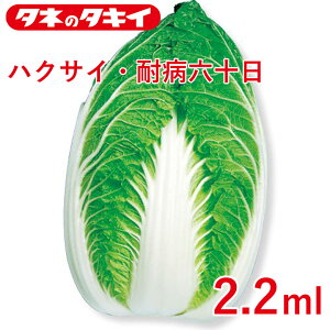nNTCEϕaZ\ 2.2ml ^LCz Ԓd 牠 nNTC q q  ͔| ʔ ^LC