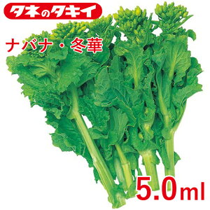 ioiE~ 5.0 ml ^LCz Ԓd 牠 ؂̉ q q  ͔| ʔ ^LC