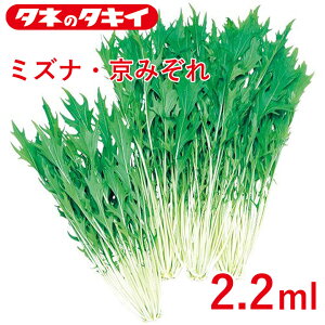 ~YiE݂ 2.2 ml ^LCz Ԓd 牠 ~Yi q q  ͔| ʔ ^LC