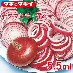 ԃ^}lMÉX 5.5ml ^LCz Ԓd 牠 ^}lM ʂ˂ q q  ͔| ʔ ^LC