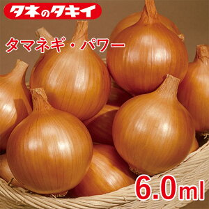 ^}lMEp[ 6.0ml ^LCz Ԓd 牠 ^}lM ʂ˂ q q  ͔| ʔ ^LC