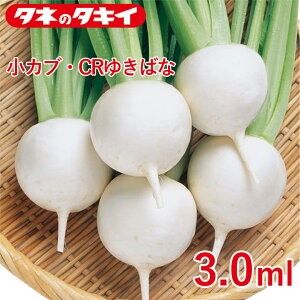 JuECR䂫΂ 3.0ml ^LCz Ԓd 牠 q q  ͔| ʔ ^LC