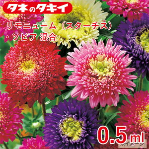 ^LC AX^[EvZX 0.5ml^LCz Ԓd ڗ 牠 q q ͔| ʔ