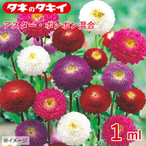 ^LC AX^[E|| 1ml ^LCz Ԓd ڗ 牠 q q ͔| ʔ