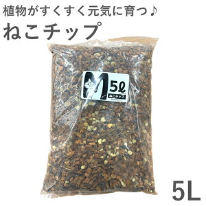 ACɈ ˂`bv MTCY 5L |ɓ py ϗtA A ͂ `bv MTCY 5 L Aւ K[fjO  ֗ C 2024NVi nMO g