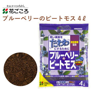 Ԃ u[x[̃s[gX 4L ph u[x[ | Aւ K[fjO |pi _Ǝ _Ɨpi K[fjOpi _ S }OlVE s[gX