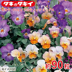 rIEF1rr AeB[N ~bNX 90 ^LCz q q  ͔| ʔ ^LC