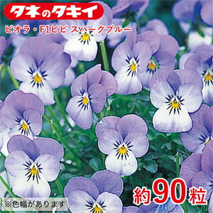 rIEF1rr Xp[Nu[ 90 ^LCz q q  ͔| ʔ ^LC