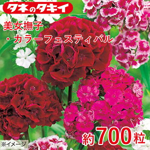 ^LC qEJ[tFXeBo 700 ^LCz Ԓd ڗ 牠 q q ͔| ʔ