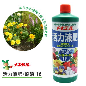 lf[ ͉t t 1L 1bg 엿 t |pi _Ǝ _Ɨpi ƒ؉ ͍ | K[fjO K[fjOpi K[f t̔엿   Ԓd A