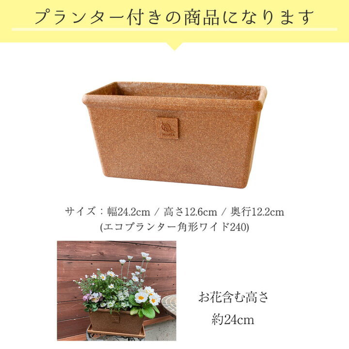 楽天市場 送料無料 プロが寄せ植えした季節の寄せ植え 花の種類 アリッサム プリムラジュリアン ローダンセマム 花かんざし ノースポール ラミウム ビオラ 受皿付き 冬 玄関 ベランダ ギフト プランター 母の日 ギフト プレゼント カワシマ園芸 楽天市場店