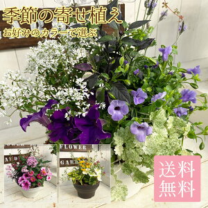 寄せ植え 鉢 玄関 生花の人気商品 通販 価格比較 価格 Com