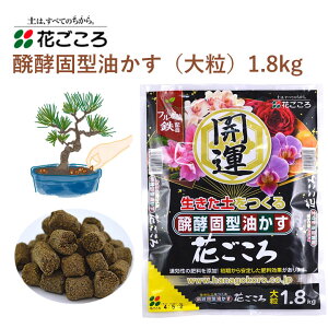 Ԃ yŌ^ 嗱 1.8kg  Ō^ 엿 ȒP | yǍ 邾 y ȒP | 엿 |pi _Ǝ _Ɨpi ƒ؉ K[fjO K[fjOpi K[f 