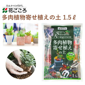 花ごころ 多肉植物寄せ植えの土 ネルソル付属 1.5L 培養土 多肉植物 寄せ植え 植え替え 水で固まる ネルソル 園芸 土壌改良材 混ぜるだけ 手軽 簡単 肥料 園芸用品 農業資材 農業用品 家庭菜