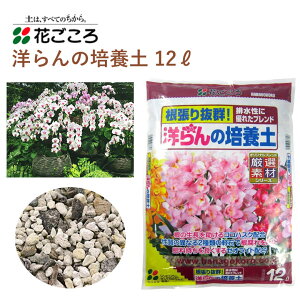 花ごころ 洋らんの培養土 12L 培養土 洋らん 園芸 植え替え 土壌改良材 混ぜるだけ 手軽 簡単 肥料 園芸用品 農業資材 農業用品 家庭菜園 ガーデニング ガーデニング用品 ガーデン 花 野菜 花