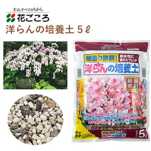 花ごころ 洋らんの培養土 5L 培養土 洋らん 園芸 植え替え 土壌改良材 混ぜるだけ 手軽 簡単 肥料 園芸用品 農業資材 農業用品 家庭菜園 ガーデニング ガーデニング用品 ガーデン 花 野菜 花