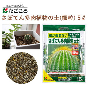 サボテン 花 培養土 用土の人気商品 通販 価格比較 価格 Com