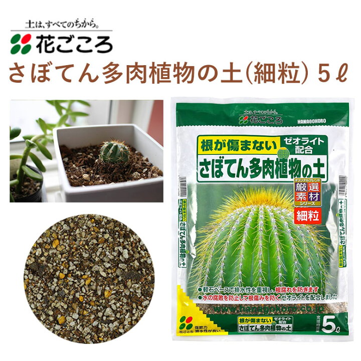 豪華 La Cachette花ごころ さぼてん多肉植物の土 5l Latam Tech