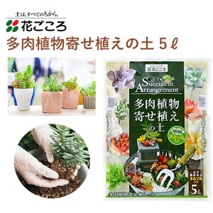 花ごころ 多肉植物寄せ植えの土 ネルソル付属 5L 培養土 多肉植物 寄せ植え 植え替え 水で固まる ネルソル 園芸 土壌改良材 混ぜるだけ 手軽 簡単 肥料 園芸用品 農業資材 農業用品 家庭菜園