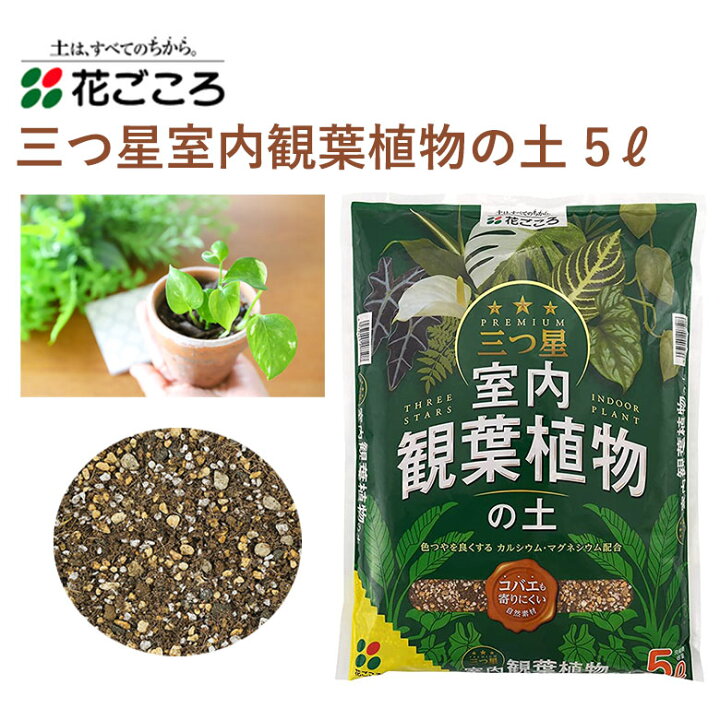 楽天市場 花ごころ 三つ星 室内観葉植物の土 5l 培養土 観葉植物 塊根植物 室内 三つ星 植え替え 園芸 土壌改良材 混ぜるだけ 手軽 簡単 肥料 園芸用品 農業資材 農業用品 家庭菜園 ガーデニング ガーデニング用品 ガーデン 花 野菜 花壇 鉢植え 土 カワシマ園芸 楽天