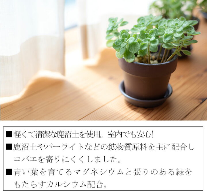 楽天市場】花ごころ 三つ星 室内観葉植物の土 5L 培養土 観葉植物 塊根植物 室内 三つ星 植え替え 園芸 土壌改良材 混ぜるだけ 手軽 簡単 肥料 園芸用品 農業資材 農業用品 家庭菜園 ガーデニング ガーデニング用品 ガーデン 花 野菜 花壇 鉢植え 土 : カワシマ園芸 楽天 ... 楽天市場】花ごころ 三つ星 室内観葉植物の土 5L 培養土 観葉植物 塊根植物 室内 三つ星 植え替え 園芸 土壌改良材 混ぜるだけ 手軽 簡単 肥料 園芸用品 農業資材 農業用品 家庭菜園 ガーデニング ガーデニング用品 ガーデン 花 野菜 花壇 鉢植え 土 : カワシマ園芸 楽天 ...