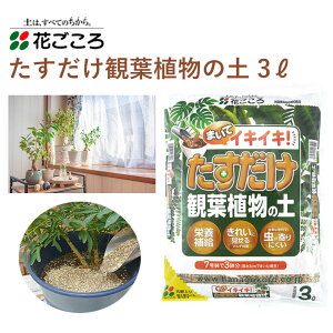 観葉植物 肥料 培養土 用土の人気商品 通販 価格比較 価格 Com