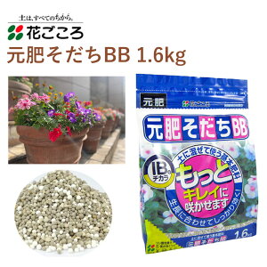 Ԃ 삻BB 1.6kg 엿 |  {엿 邾 y ȒP 엿 |pi _Ǝ _Ɨpi ƒ؉ K[fjO K[fjOpi K[f   Ԓd A y